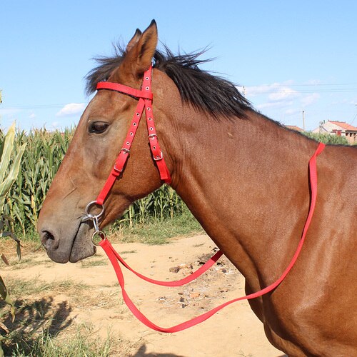Shuiller redini bocca ferro cavallo mastica Kit imbracatura per cavalli dimensioni cavallino: Red line 1.2 m