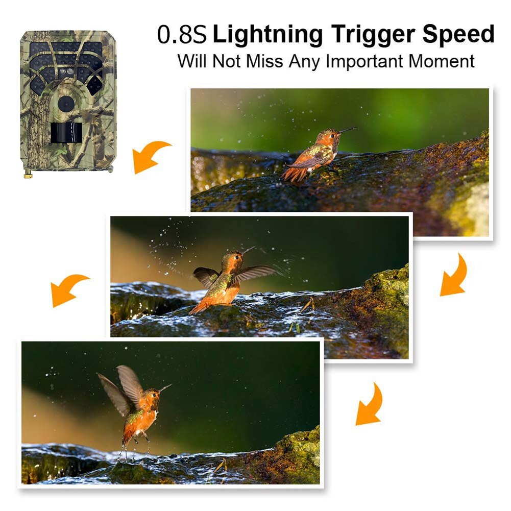 12MP 720P HD Infrared Heat-Sensing Camera Wildlife Animal Tracking Detector