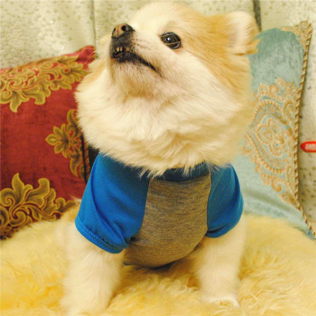 Você resgatou meu coração moda carta imprimir camisas para animais de estimação verão roupas para cães pequenos filhote de cachorro chihuahua cachorro camisa