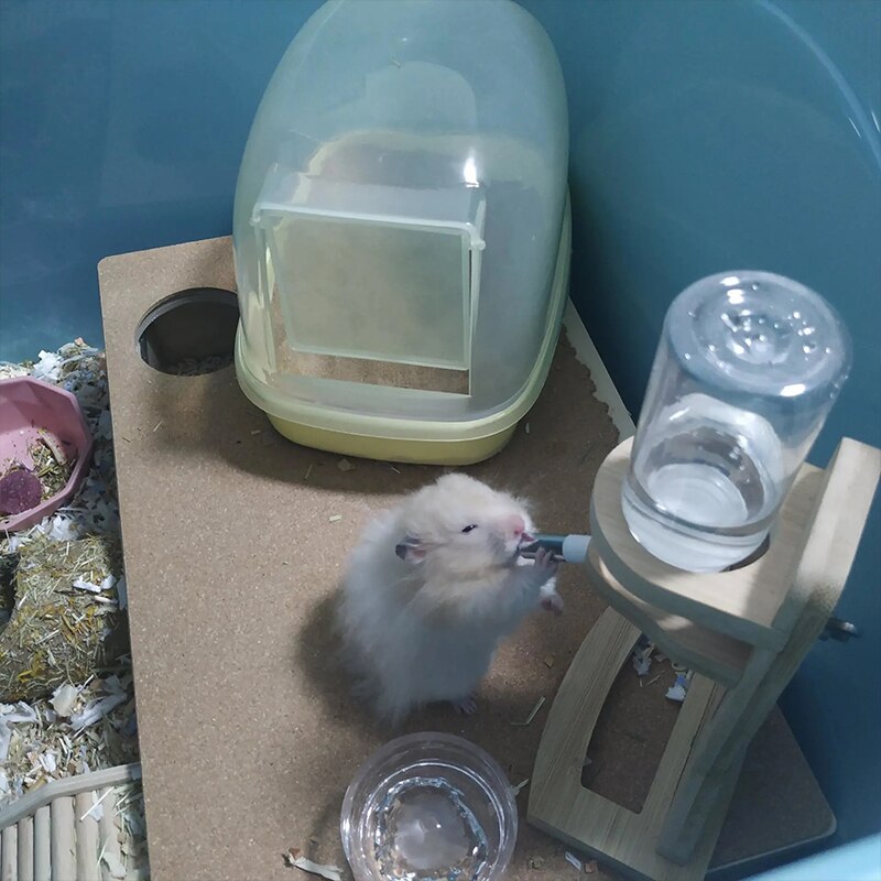 Chinchilla Badkamer Transparant Droog Zandbak Douche Gladde Plastic Grote Ruimte Egel Sauna Klein Dier Levert