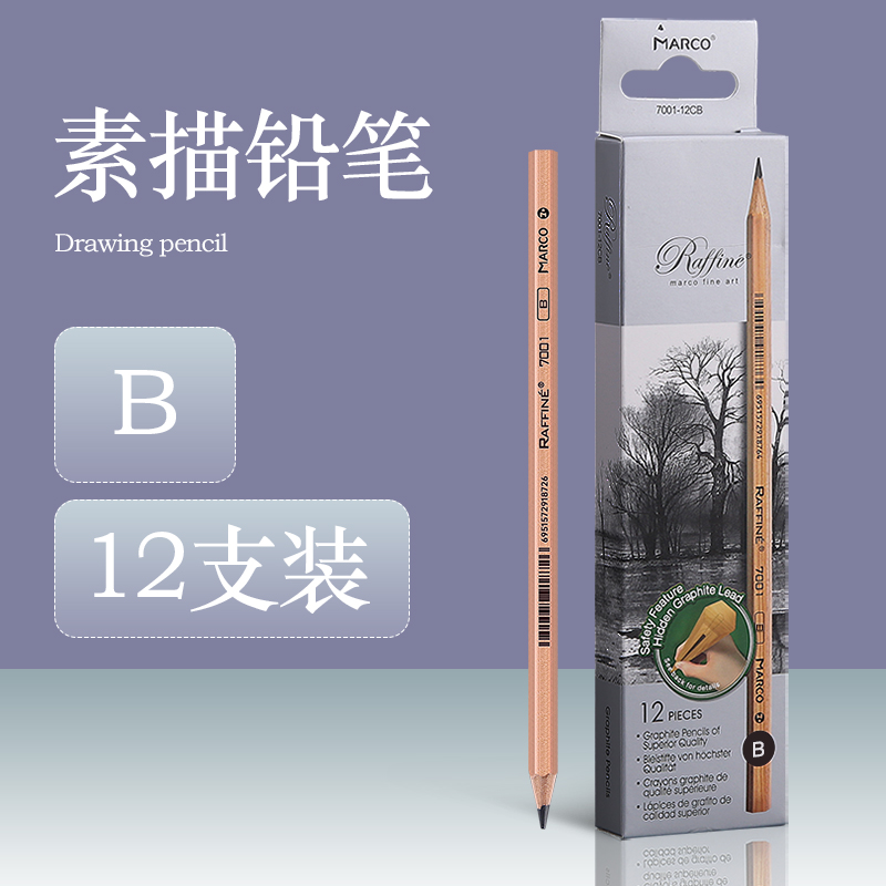 Marco Sketch Wooden Pencils 3H/2H/H/B/2B/3B/4B/5B/6B/7B/8B/9B/10B Pencil Art Painting Pencil School Office Supplies: PURPLE