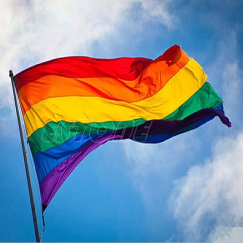 Rainbow Vlag 3X5 Ft 90X150 Cm Polyester Lesbische Gay Pride Lgbt Voor Decoratie- s127