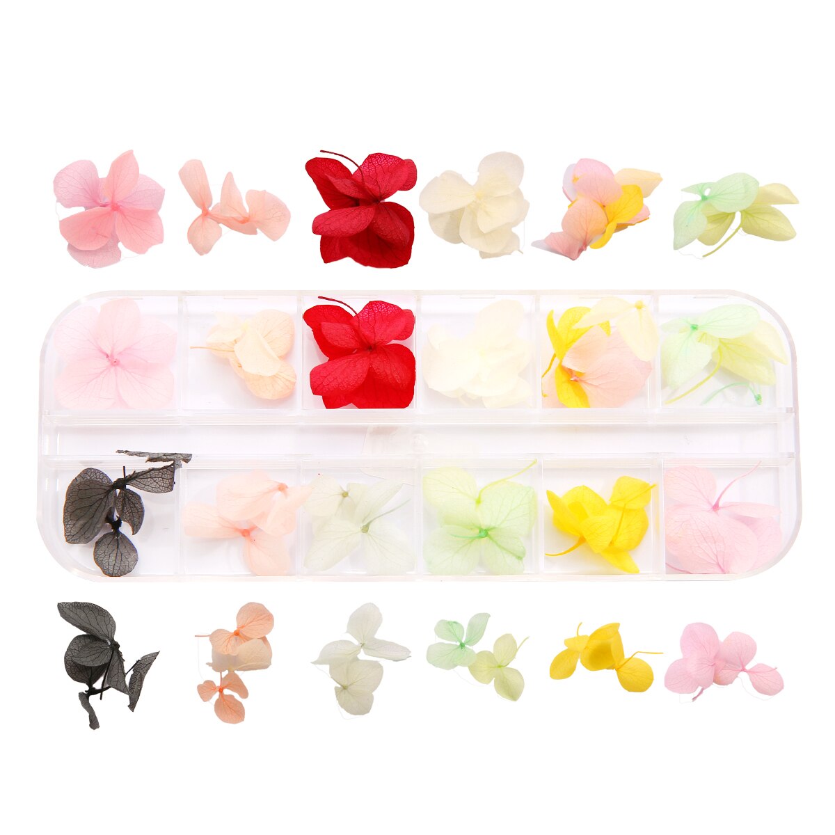 1 Doos Gedroogde Bloemen Droge Planten Voor Hars Mallen Vullingen Epoxy Hars Hanger Ketting Sieraden Maken Craft Diy Nail Art decoratie: Style8