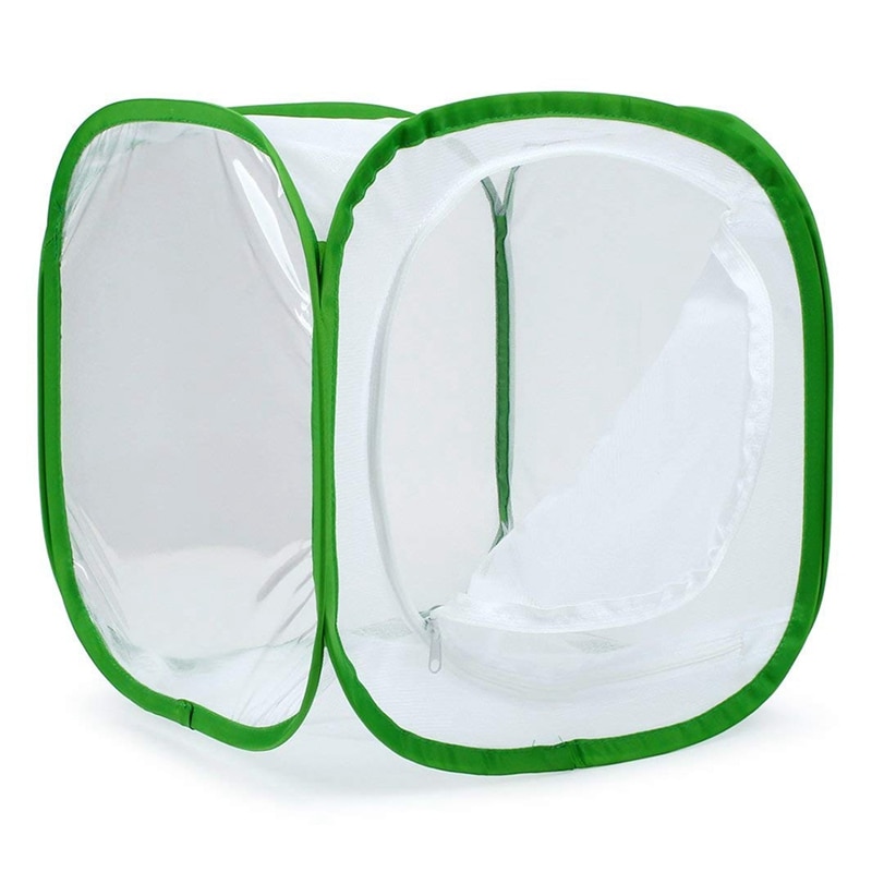 Insekten und Schmetterling Lebensraum Käfig Terrarium Pop-up 12x12x12 Zoll (Weiß + grün)