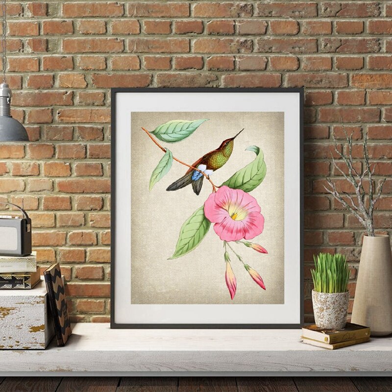 Kolibrie en botanische kunstprint vintage vogelillustratie poster wanddecoratie retro poster kraftpapier