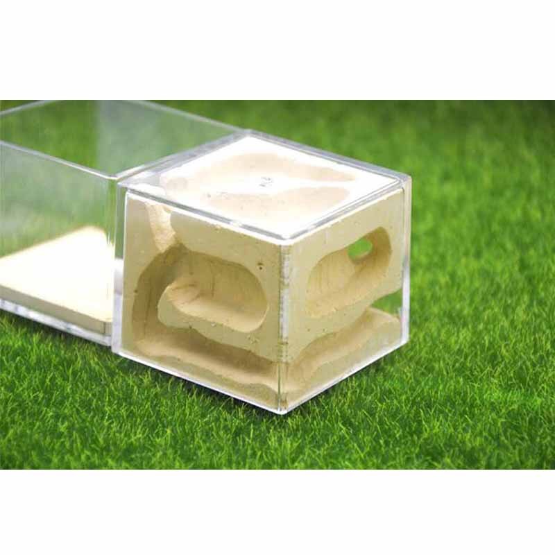 Nowy projekt akrylowe gniazdo gipsowe stereofoniczny mrówki gospodarstwo domowe hodowla owadów gniazdo domowe zwierzę warsztat Terrarium dla gadów