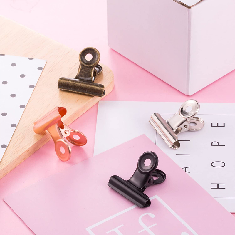 10Pcs Mini Bulldog Clips 22mm Metal Hinge Clips Stainless Steel Paper Binder Clamps For Tags Bags Shops Office Home Kitchen