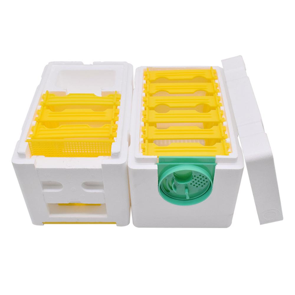 Caja de cría de abejas automática, suministros de espuma de colmena, herramienta de doble capa