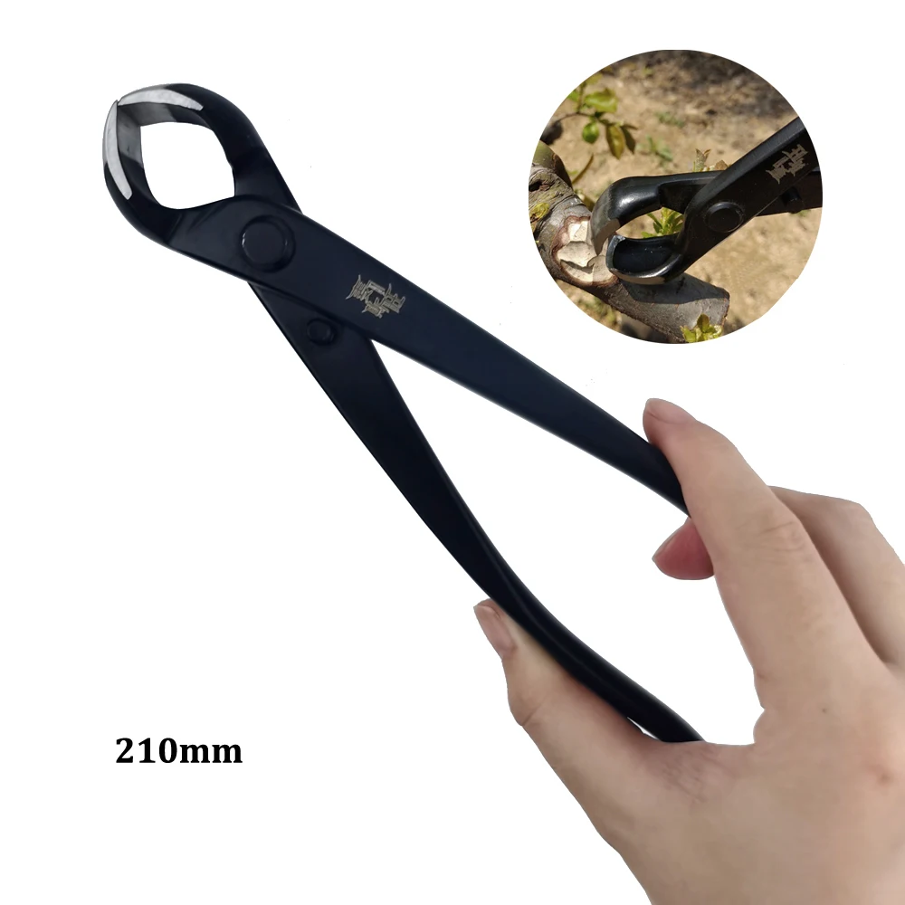 Strumento per potatura bonsai Cesoie per filo da giardino Frese estese Forbici in acciaio legato Strumenti per potatura da giardino domestico Combinati selezionati: Argento