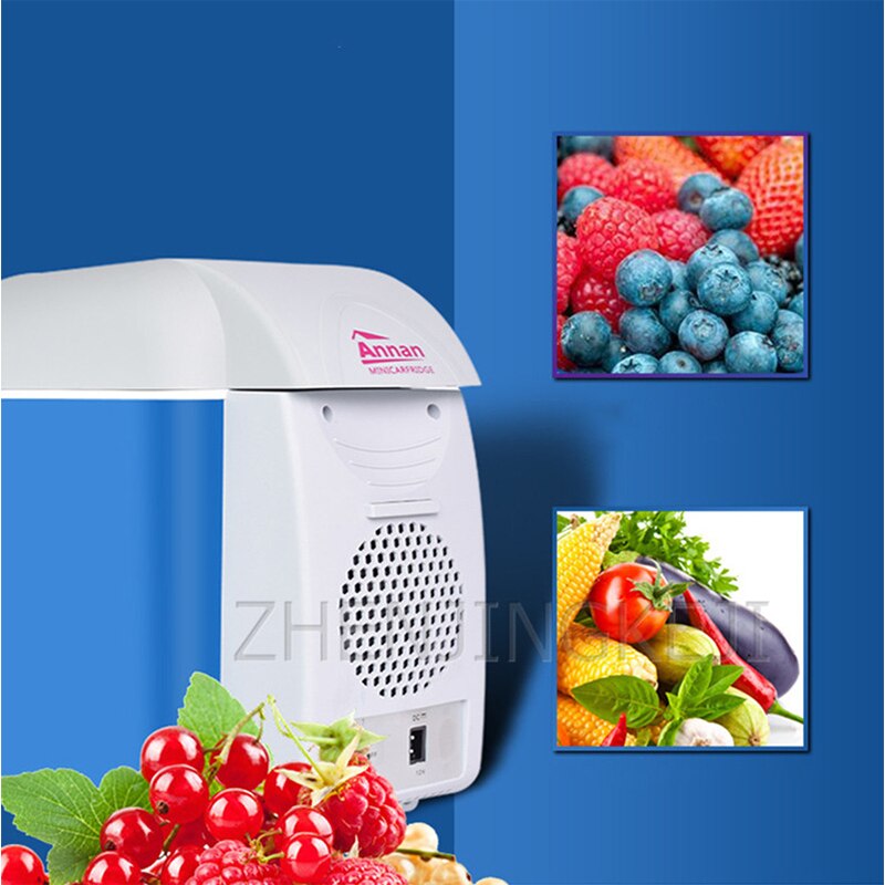 Coleman Cooler Mini Car Refrigerator Portable Small Fridge