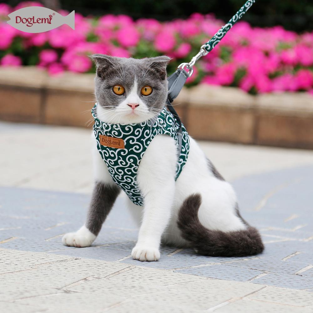 Japanse Bloem Kat Harness Cat Kleding Kleding Voor Katten Puppy Hond Kat Leash Hond Harnas Kraag Voor Cat Pet levert
