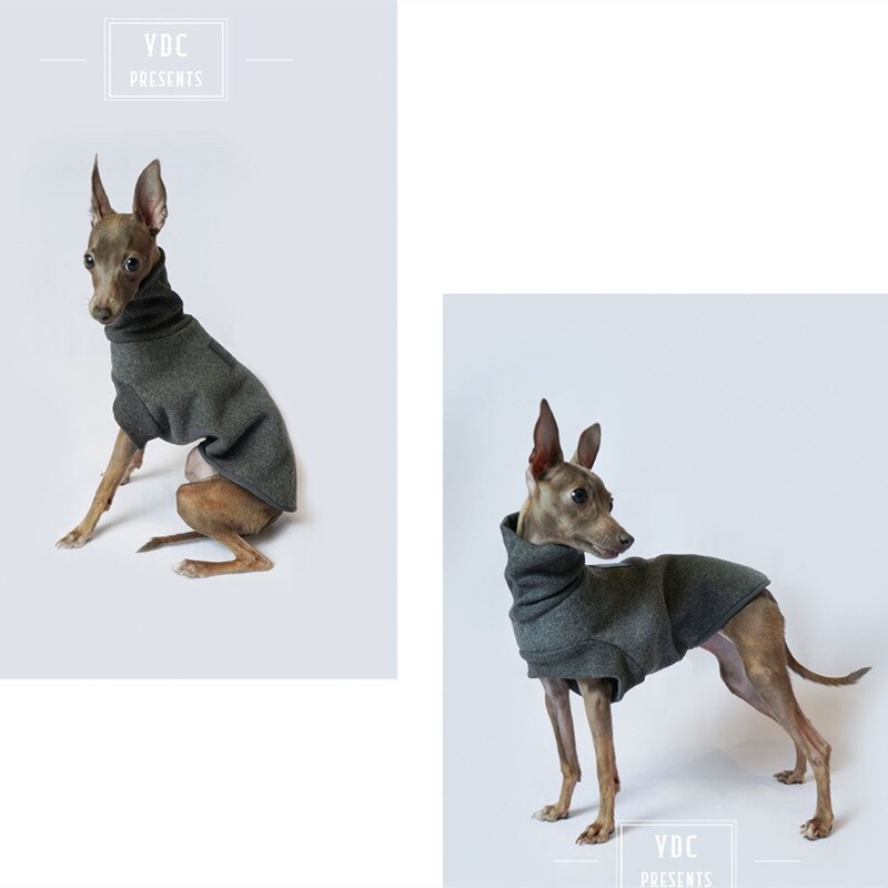 Small and Medium Dog Clothes Italian Greyhound Clothes Autumn and Winter Fleece Dog Clothes Dog Sweater Dog Accessories