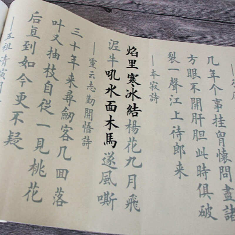 Calligraphy Copybook Set Chinese Brush Poetry Copybook Classic Buddhist Scriptures Brush Calligraphy Practice Set for Beginner