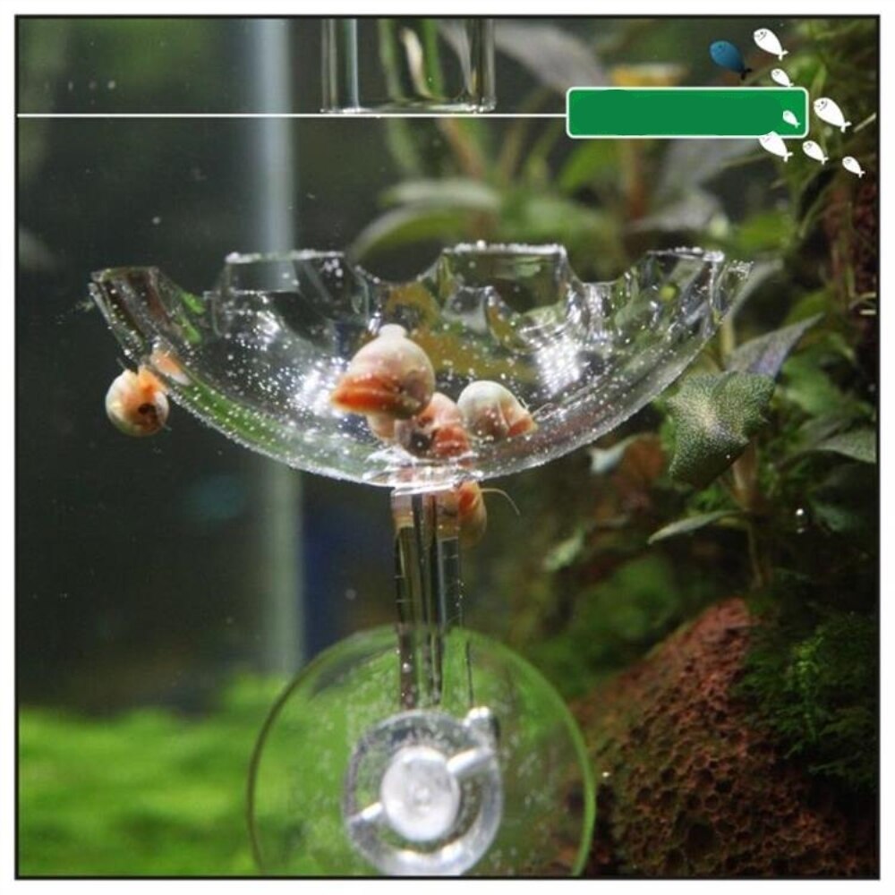 Akvarium akvariefoder akvarium räkor matning skål maträtt med silikon sugkopp mat behållare