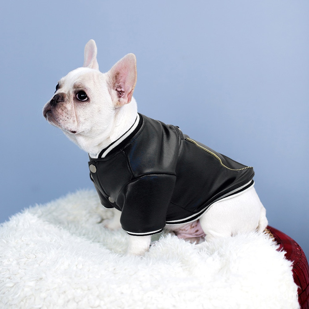 Fransk bulldog hundetøj mops pet tøj vinter læder hund frakke jakke til mellemstore hunde bulldog tøj ropa de perro