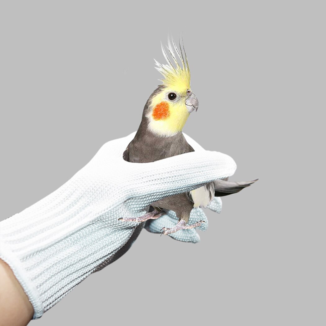 Anti-bid handsker fugle papegøjer træning håndtering af handsker handsker beskyttelseshandsker fugl interaktiv træning forsyninger