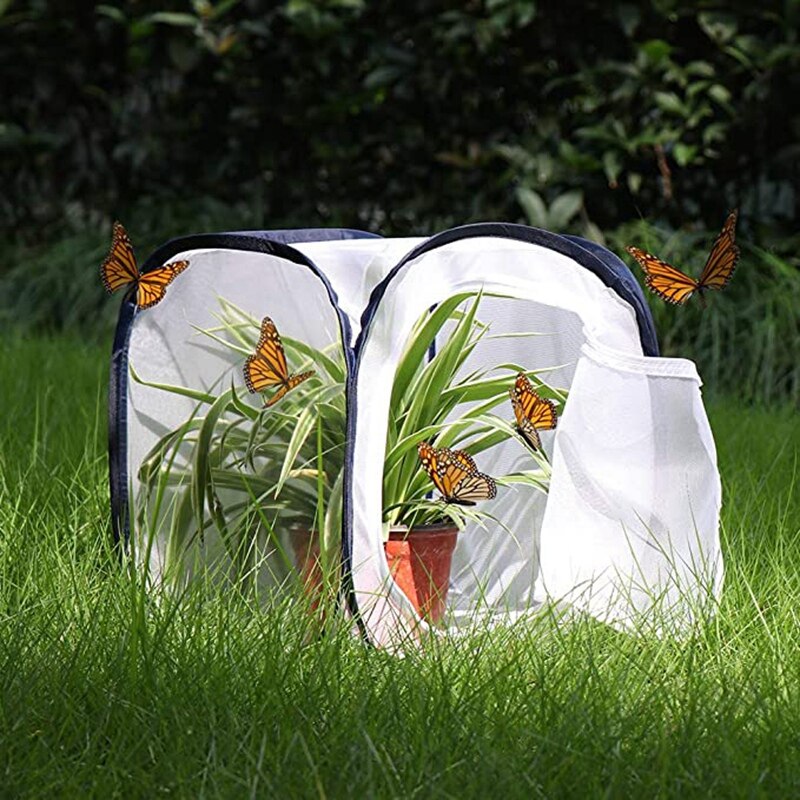 Butterfly Breeding Box Insect Net Insect Butterfly Habitat Cage Terrarium -Up Butterfly Nest 12X12X12 Inches
