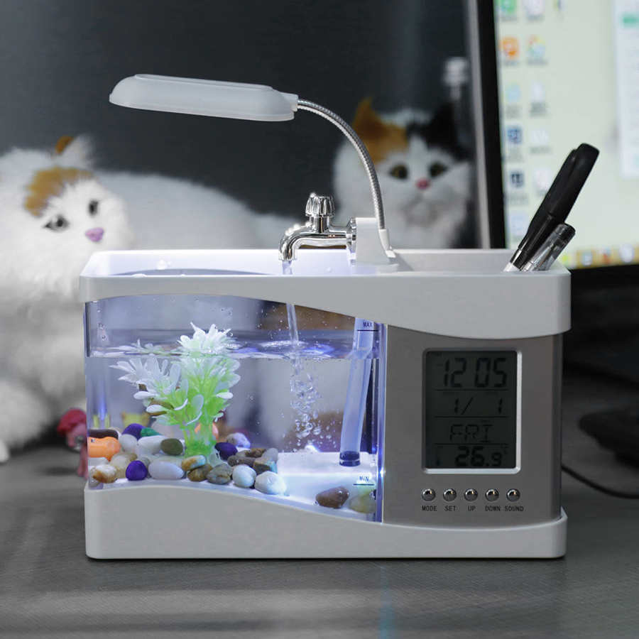 Mini Aquarium de bureau avec écran LCD et horloge, Mini USB, réservoir de poissons, Beta, décoration avec galets