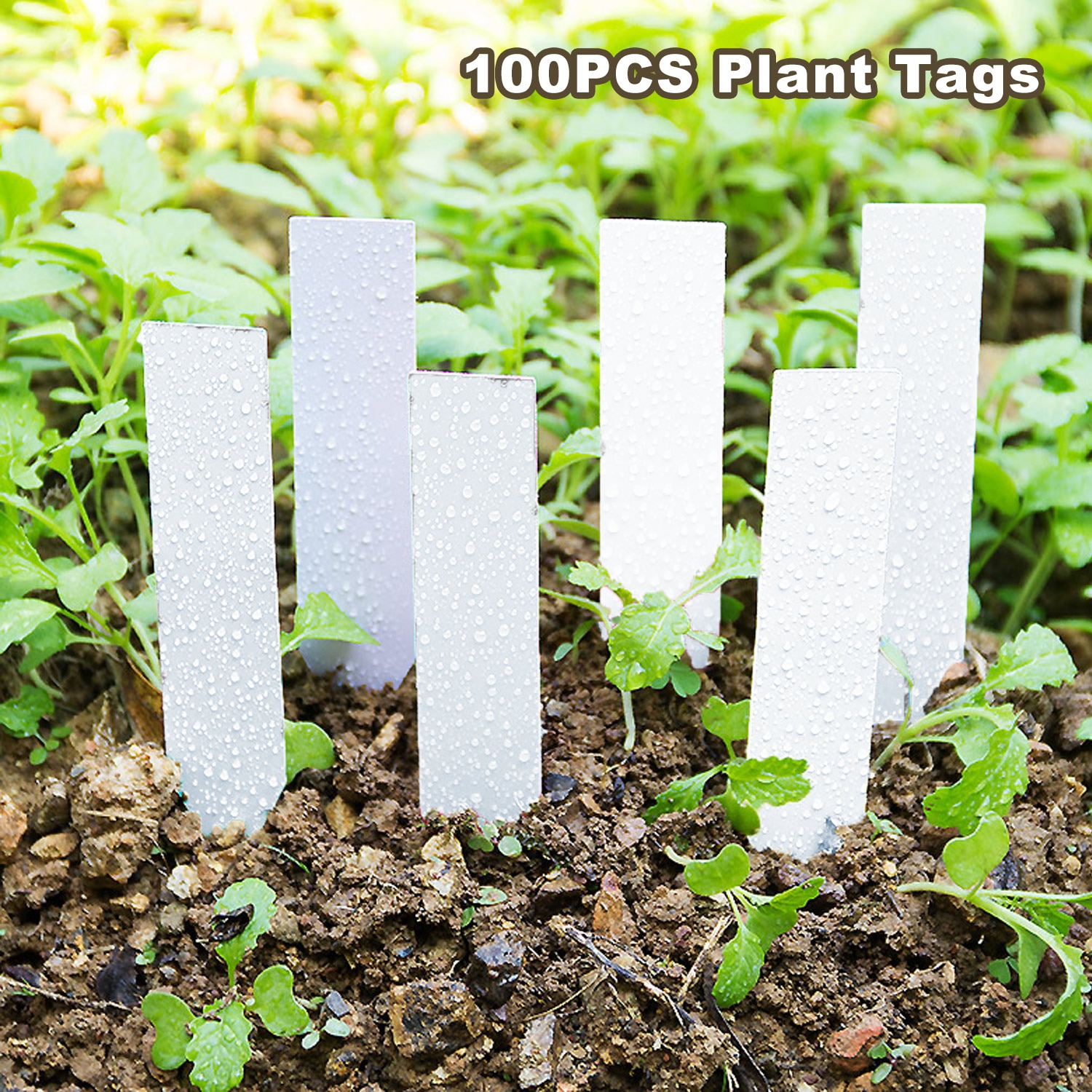 100 stk planteetiketter vanntett plast hage plante skiltetiketter innsats til planter blomster grønnsaker hvit 5 x 1cm/10 x 2cm