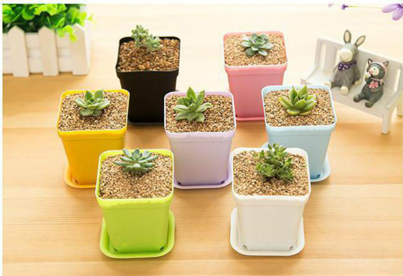 10 st/set mini färgglad blomkruka i plast kruka trädgård balkong blomkrukhållare djur växtkrukor balkon wyq