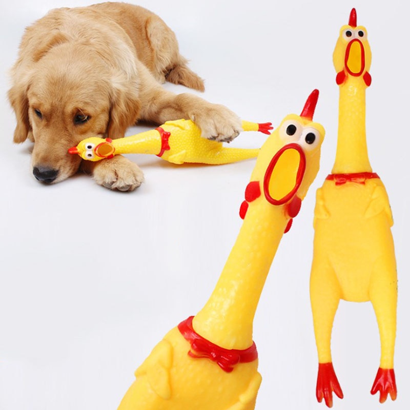 17Cm 31Cm 40Cm Screaming Kip Hond Speelgoed Squeeze Sound Kat Speelgoed Honden Speelgoed Voor Grote Honden huisdier Speelgoed Levert Kleine Honden