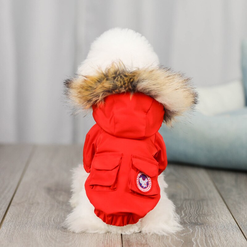 Tyk hund frakke jakke kæledyr tøj til hunde outfits vinter varmt hunde tøj hvalp kæledyr tøj til hunde downcoat kat kæledyr tøj