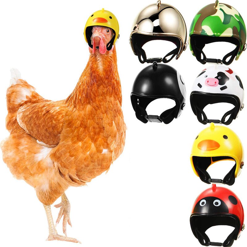 Kip Helm Huisdier Veiligheid Helm Grappige Papegaai Helm Kip Vogel Hoed Hoofddeksels Pet Helm Kostuums Accessoires Voor Kip Vogel