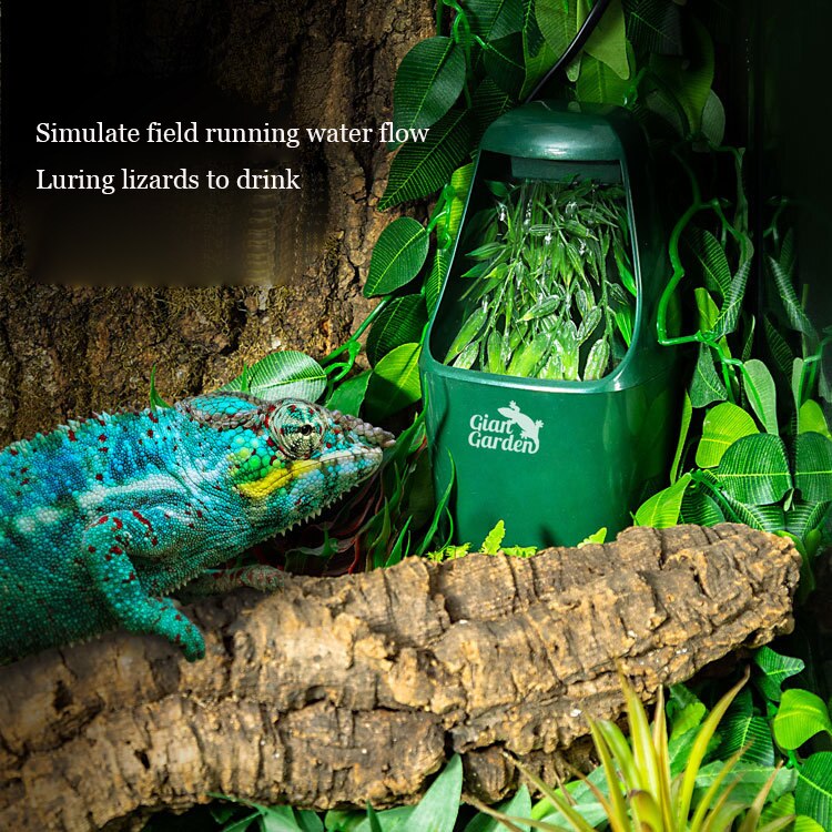 110V/220V Reptil Trinkwasser Filter Brunnen Grün Fütterung Chamäleon Eidechse ABS Spender Luftbefeuchter Reptilien Liefert