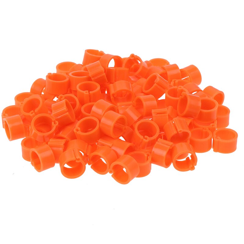 100Pcs Inner Diameter 8mm Pigeon Leg Poultry Dove Bird Parrot Clip Rings: Orange