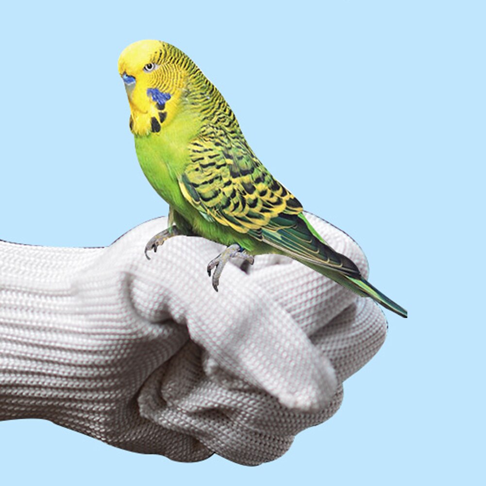 Parrot Anti-bite Gloves Pet Catching Bird Flying Parrot Training Wire Gloves Protect Hands Bird Training Supplies Protect Gloves