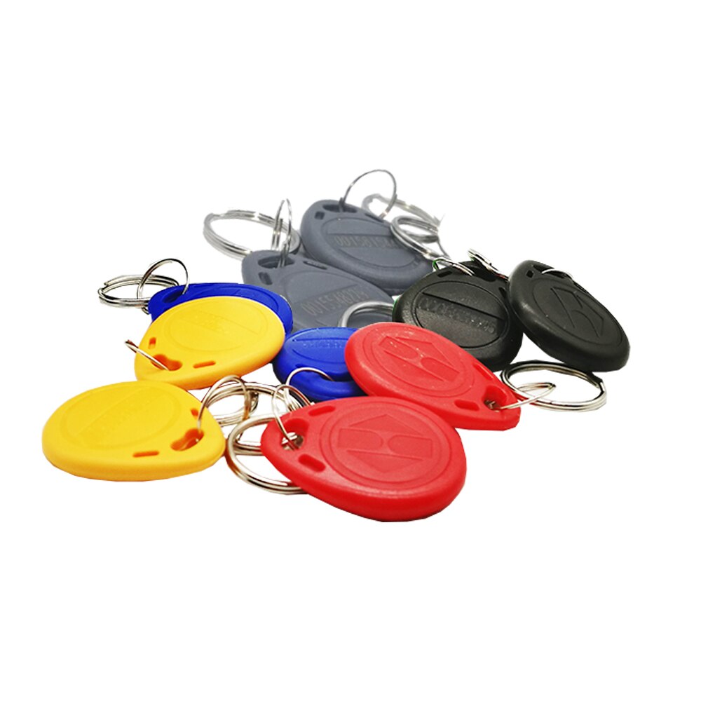 Rfid 125khz TK4100 Proximity EM Keychain Keyfobs Door Access Control Card: Mix Color 1