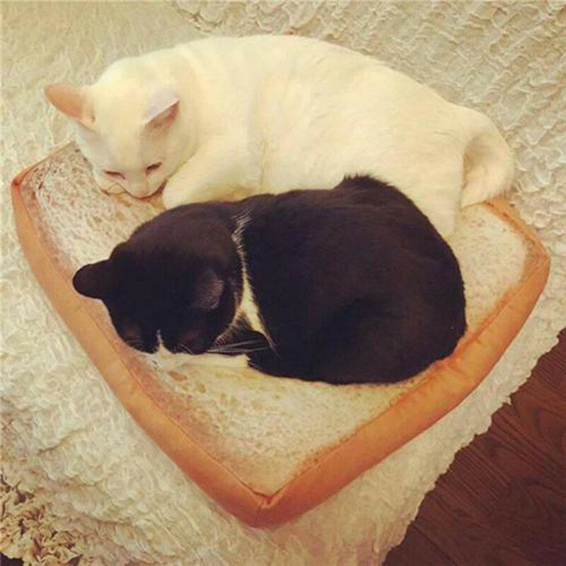 Toast brød katt pute hund matte kjæledyr senger rekvisita kittle myk pute plysj sete