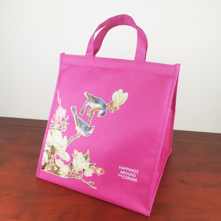 Geïsoleerde Picknick Koeltassen Cake Pizza Lunch Picknick Box Geïsoleerde Cool Handtassen Ice Pack Thermo Draagbare