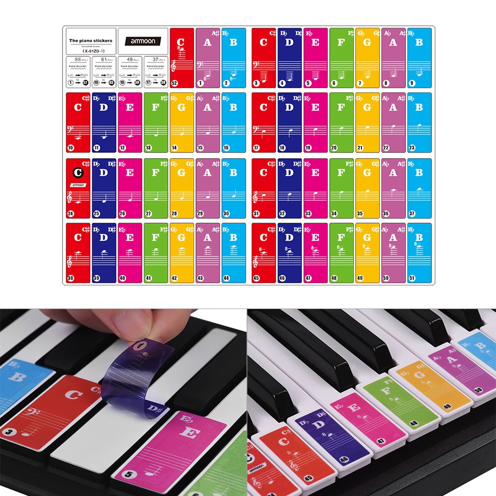 Ammoon-pegatinas de Piano para niños, pegatina de Teclado extraíble para teclados de 37/ 49/ 61/ 88 teclas, transparente, para Aprendizaje de práctica de Piano: Plata
