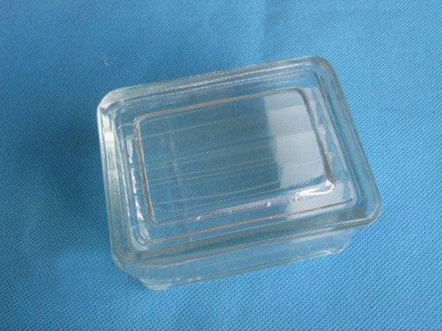 2pcs/lot Glass Staining Jar can hold 10 pieces glass slide Laboratory Consumables