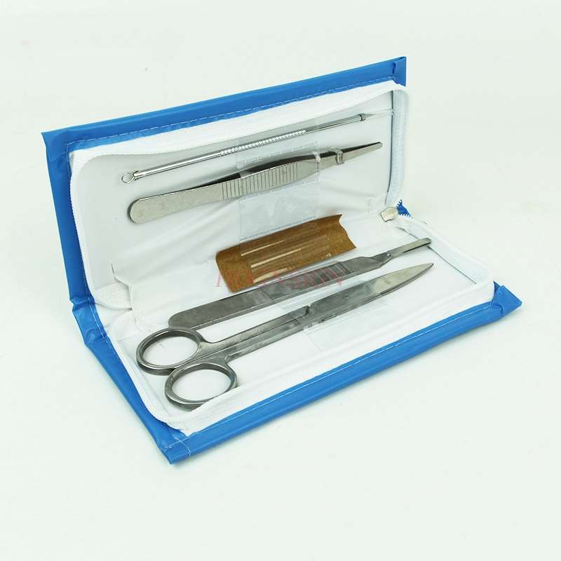 magnifying glass Magnifying glass 10 times hand-held LED white light purple light banknote detection calligraphy