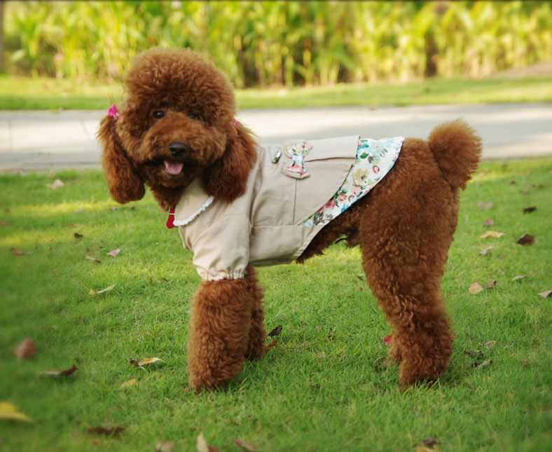 Hond Kat Jurk Pak Met Bogen Pet Puppy Jas Lente/Herfst Kleding Kleding