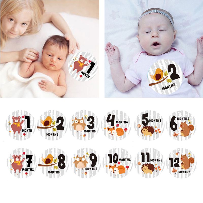 Baby Monthly Stickers,Baby First Year Month Age Growth Milestones Animal Stickers Unisex,1 to 12 Month Memorial paper photo prop