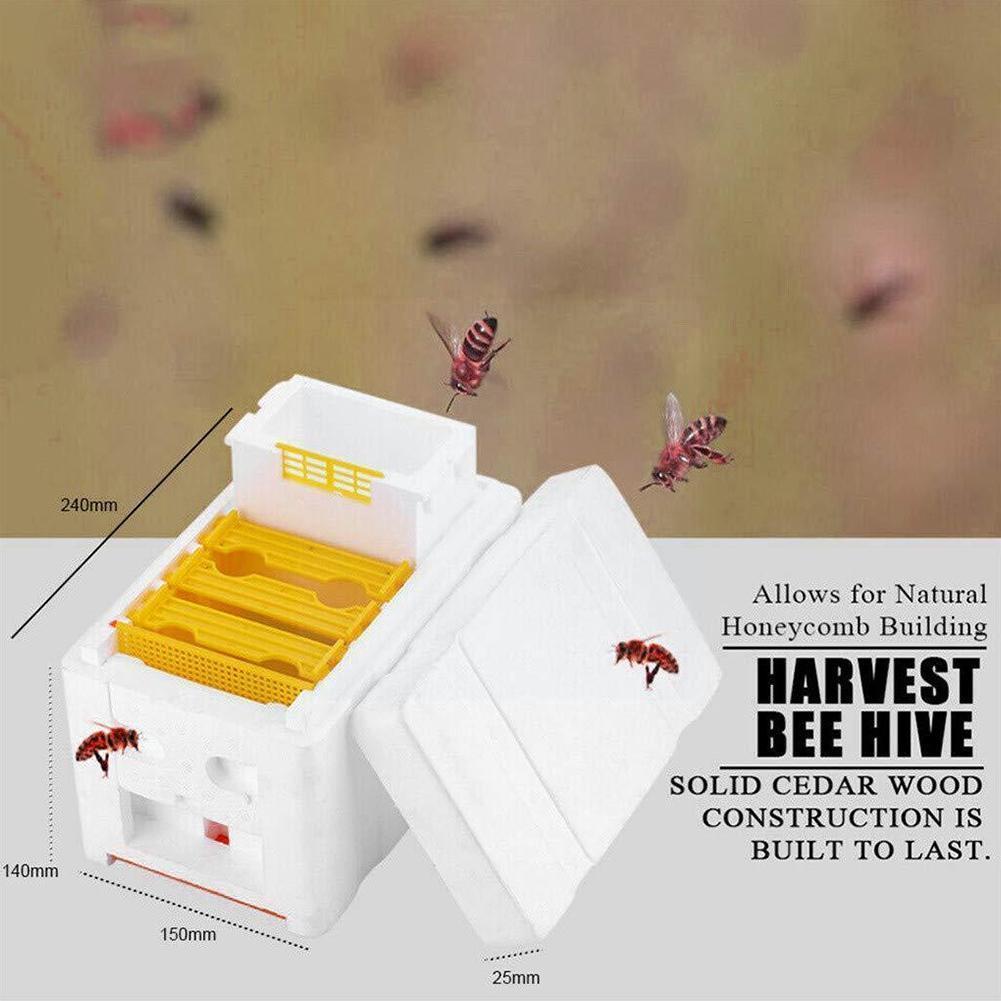 Beekeeping King Box Pollination Box Foam Frames Beekeeping Equipment Kit Harvest Bee Hive Box For Garden Pollinator Beekeep Q2p1