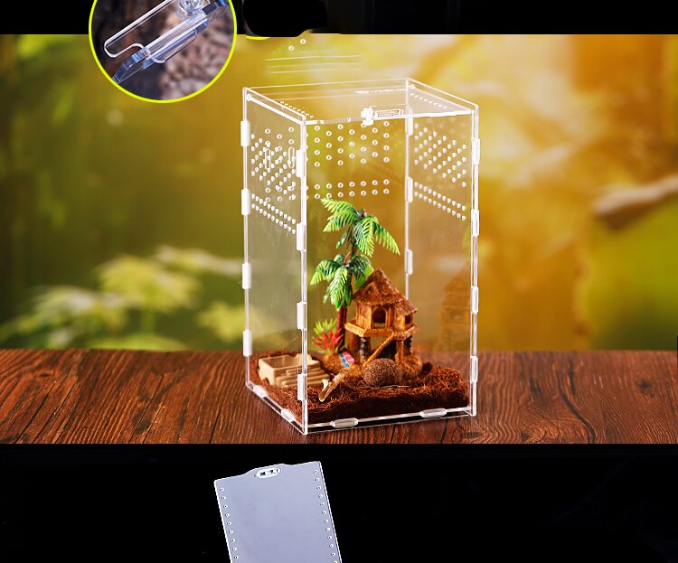 Reptile Breeding Box Acrylic Spider Lizard Scorpion Enti&#39;s Acrylic Assembled Transparent Insect Breathable Terrarium