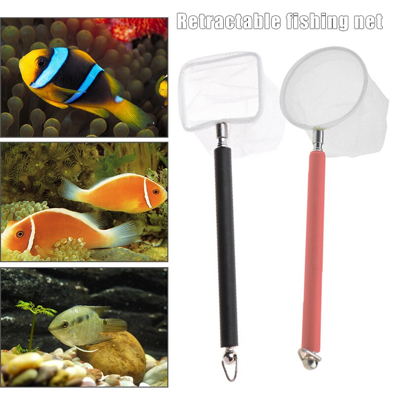 Mini red de camarón para acuario, malla fina telescópica, pequeña red de pesca con mango largo de acero inoxidable, M56