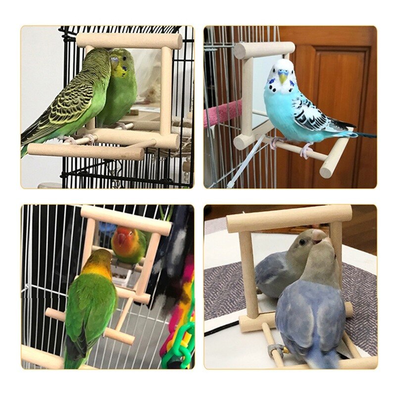 Miroir d&#39;oiseau avec perche, support de jouet de perche d&#39;oiseau, jouet d&#39;oiseau pour Cage de perruches de perroquet