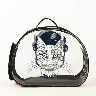 Bærbar katteholder taske udendørs rejse kæledyrsbærer gennemsigtig tegneseriemønster åndbar håndtaske til små hunde og katte: C