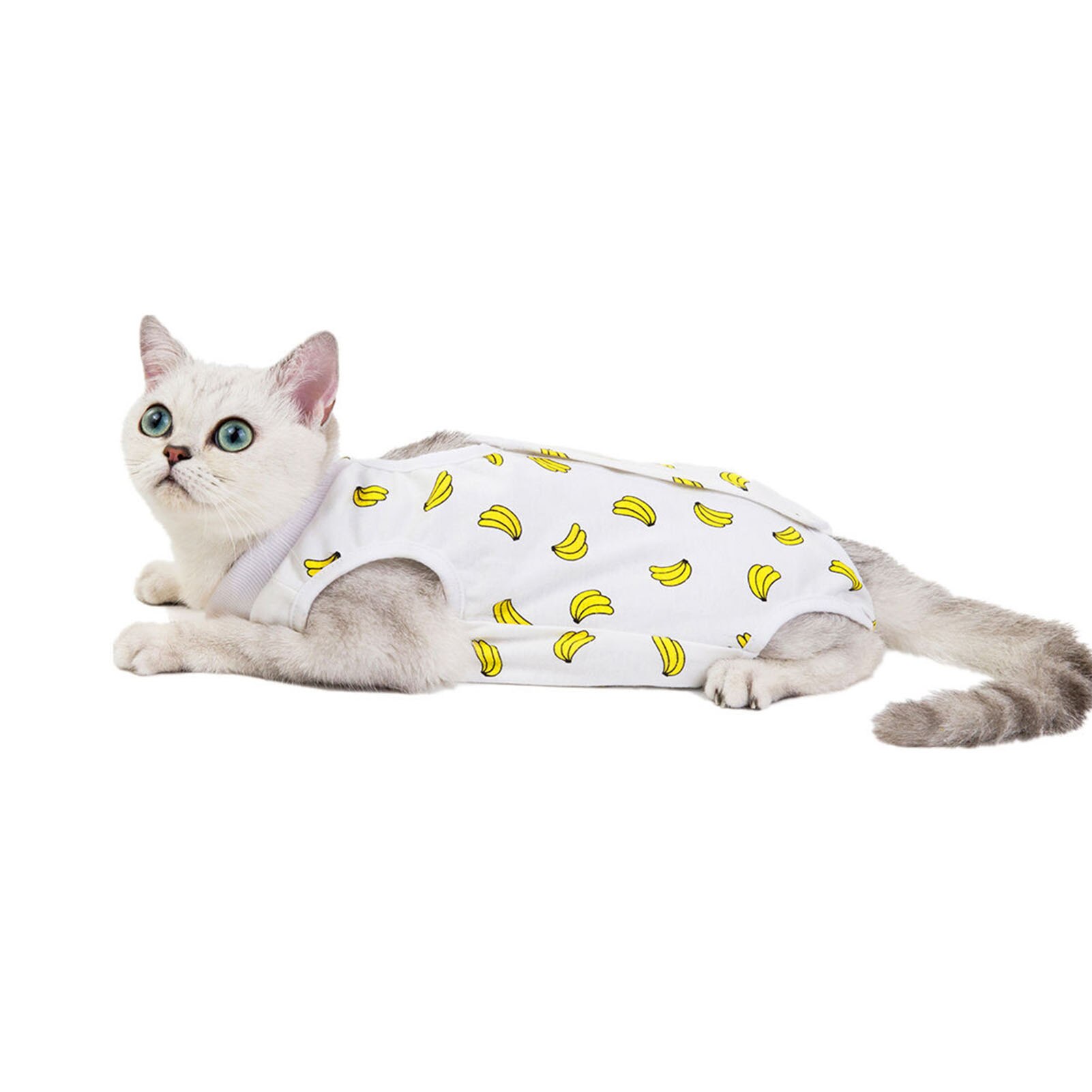 Dog Cat Surgery Recovery Suit For Abdominal Wounds Skin Diseases