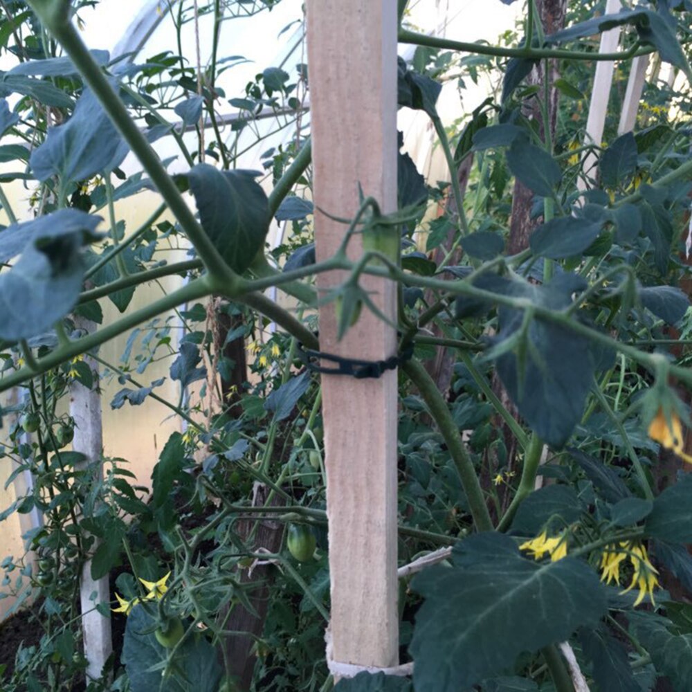 50Pcs Adjustable Garden Cable Ties Reusable Plant Support Shrubs Fastener Tree Locking Cable Ties Zip Garden Ties