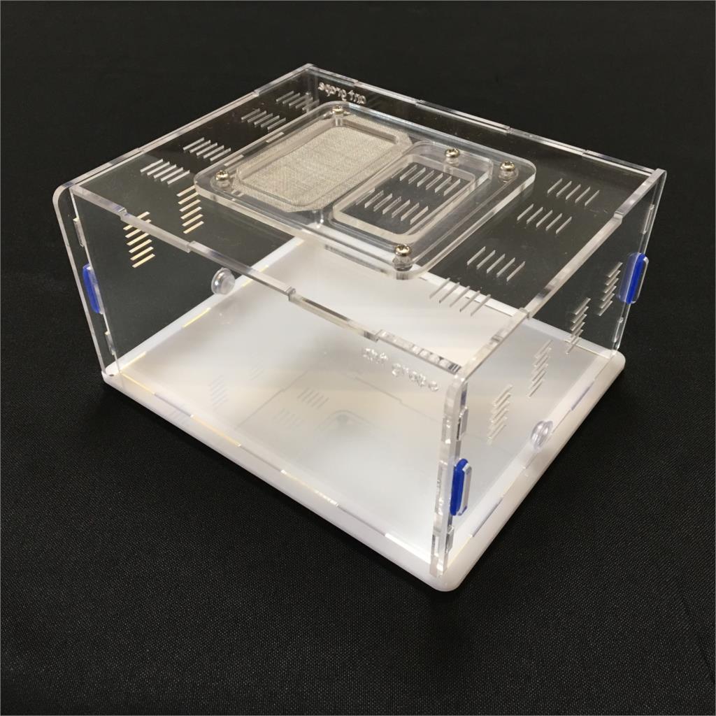 ant-grape series L size ant nest active area ,ant farm acryl, insect nests villa pet advanced mania for house ants: white