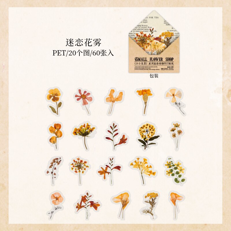 Retro Dried flower specimen PET Deco Stickers Plant Flower Leaf Transparent Bullet Journaling Accessories Aesthetic Stickers: 3