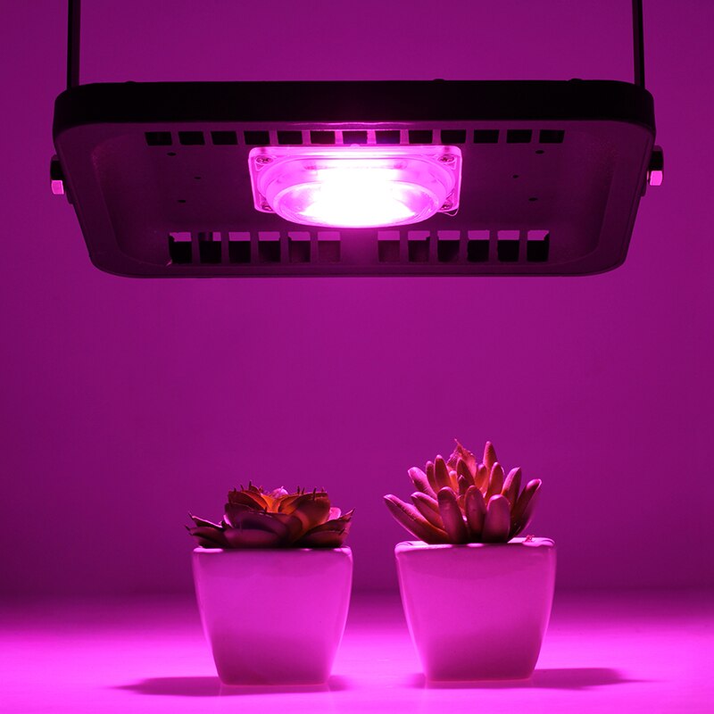 LED Grow Light Volledige Spectrum Schijnwerper 30W 50W 100W 110V220V COB Chip Voor Indoor Outdoor Hydroponice Plant zaailing Groei Lamp