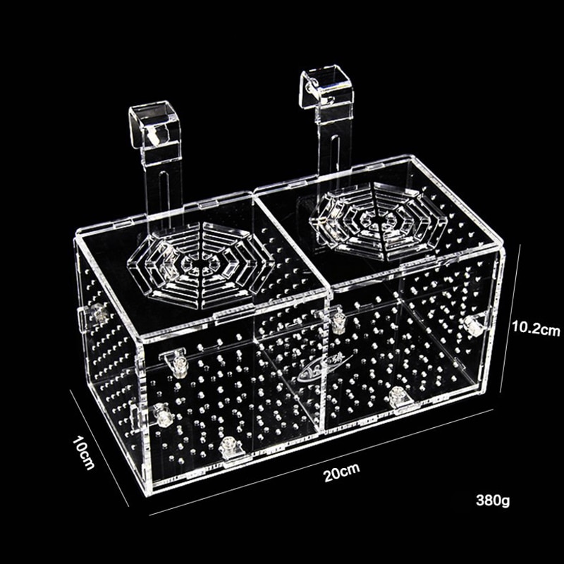 Acryl Fry Isolatie Box Plexiglas Kleine Visteelt Doos Transparant Ronde Gat Aquarium 20x10x10cm