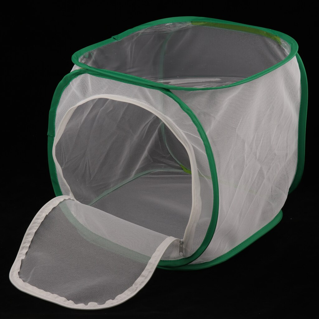 Insect and Butterfly Habitat Cage, Terrarium with -up , for Nature Observation, Butterflies and Insects Raising